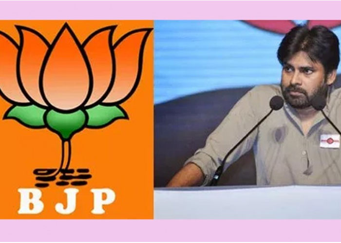 Janasena Activists Should Criticise Pawan Not Media