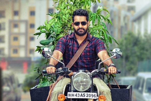 Jr NTR, A Nature Lover In Janatha Garage