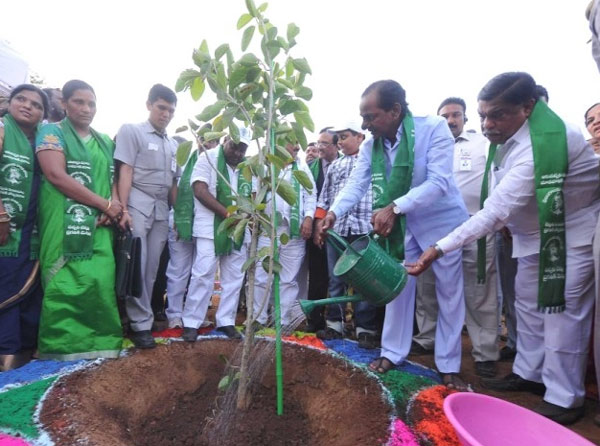 KCR launches second phase of Haritha Haram