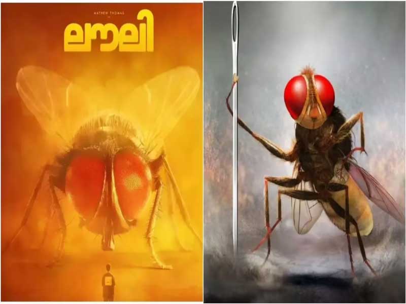 Lovely Faces Legal Trouble From Eega
