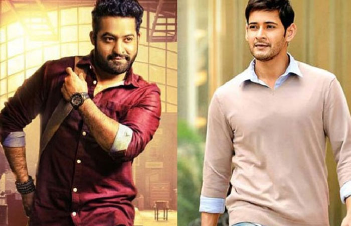 Mahesh and NTR Multistarer in Rajamouli's Combo?