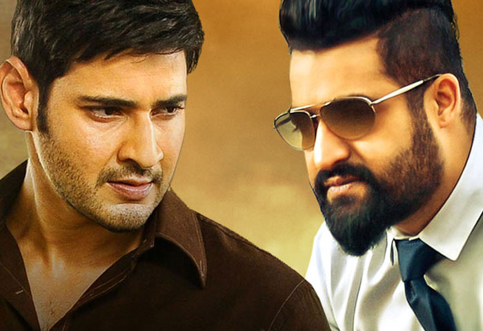 Mahesh Babu and NTR's DoPs Swapped?