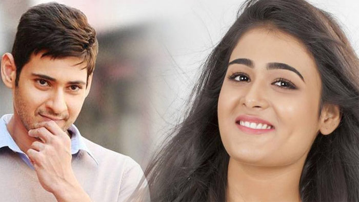 Mahesh Babu and Shalini Pandey