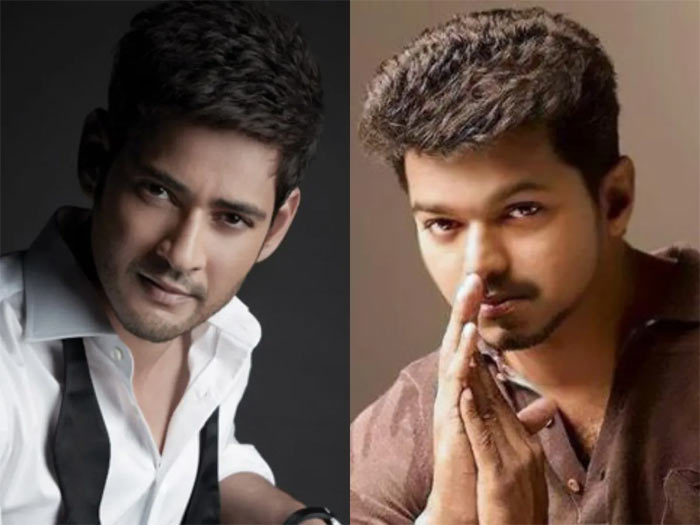 Mahesh Babu Vijay