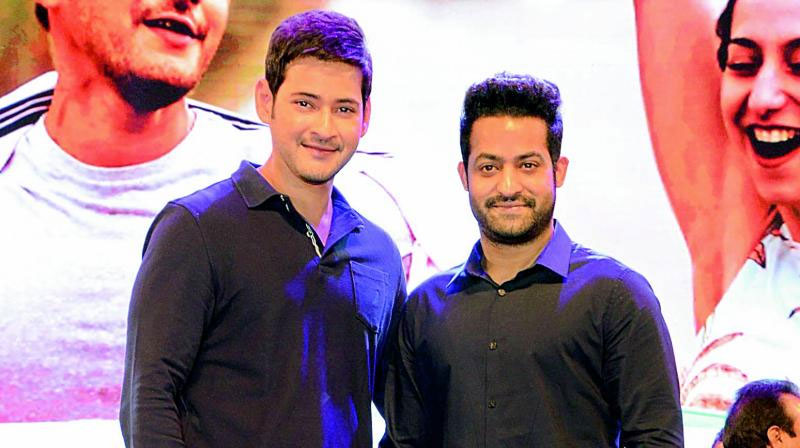 Mahesh Fans Escaped! Poor NTR Fans Criticized!