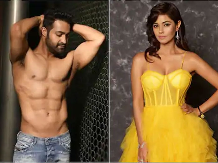 Meera Chopra Complains Cyber Crime on NTR Fans