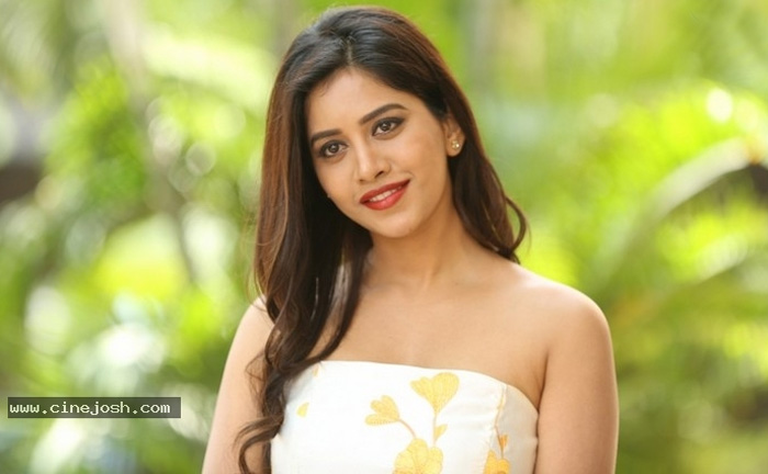 Nabha In Raviteja VI Anand Film