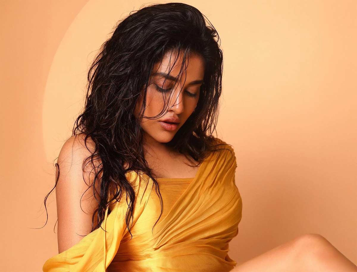 Nabha Natesh