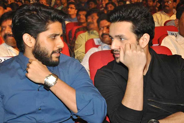 Naga Chaitanya Akhil Multi Starrer