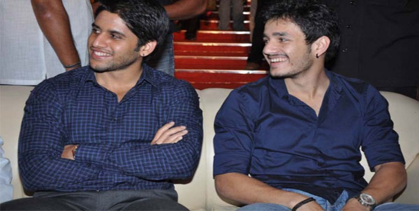 Naga Chaitanya and Akhil's Marriages Soon!