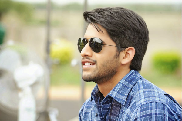 Naga Chaitanya's Special Roles Not Worked out