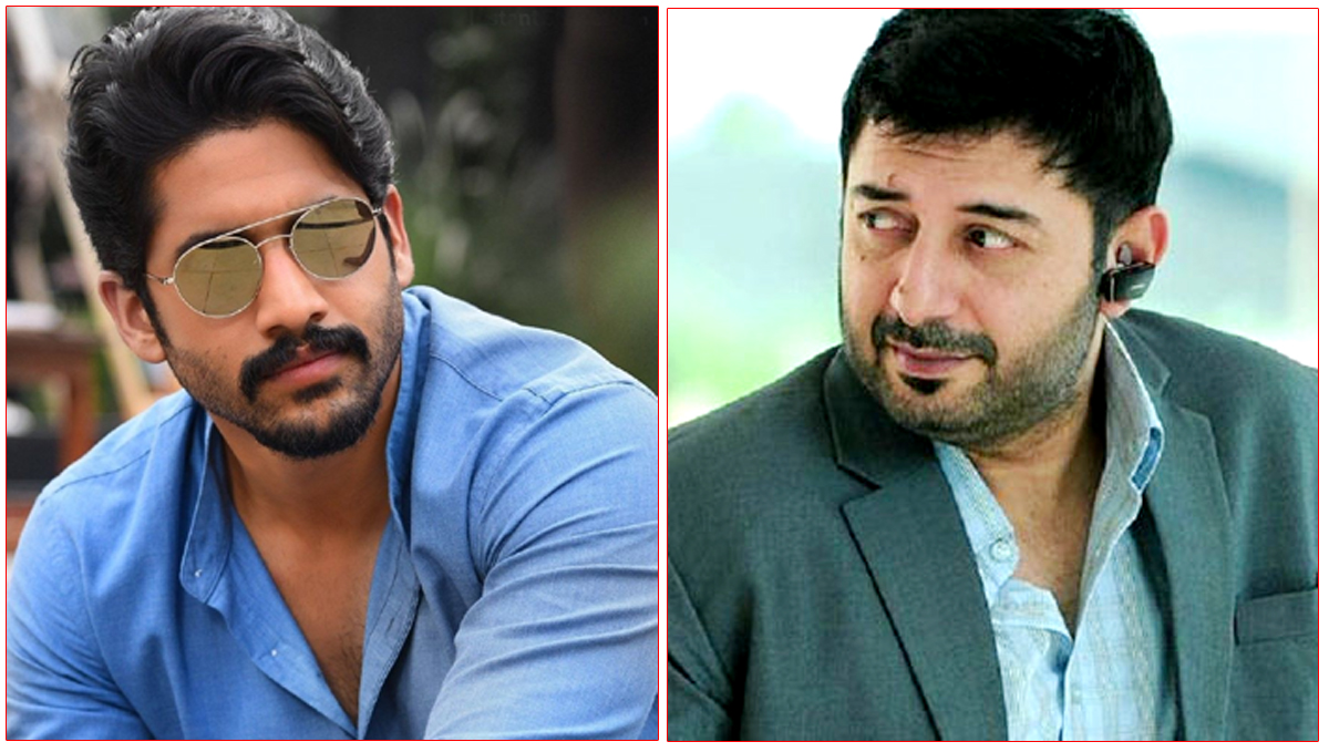  Naga Chaitanya will be fighting Arvind Swami