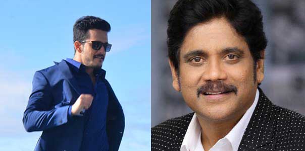 Nagarjuna and Akhil in Story Discussions!