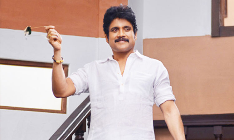 Nagarjuna's Bangarraju on Cards