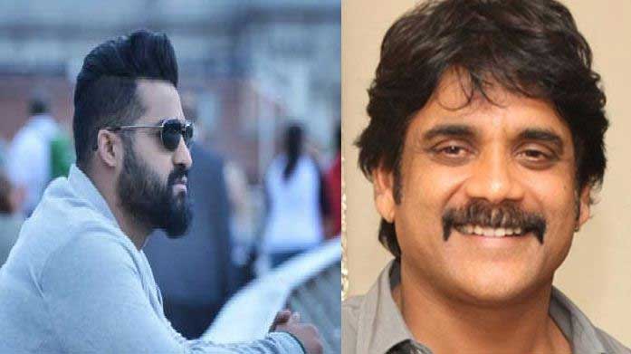 Nagarjuna Confused with Heroes Stardom and Their Ages?