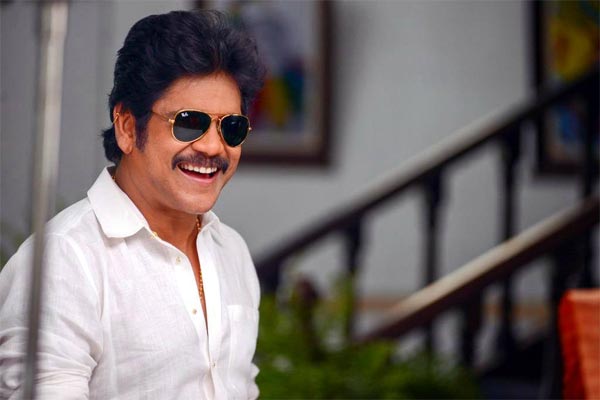 Nagarjuna SCN Movie Going Brilliantly at Box Office