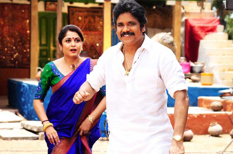 Nagarjuna to Become Sanrkanthi Hero!