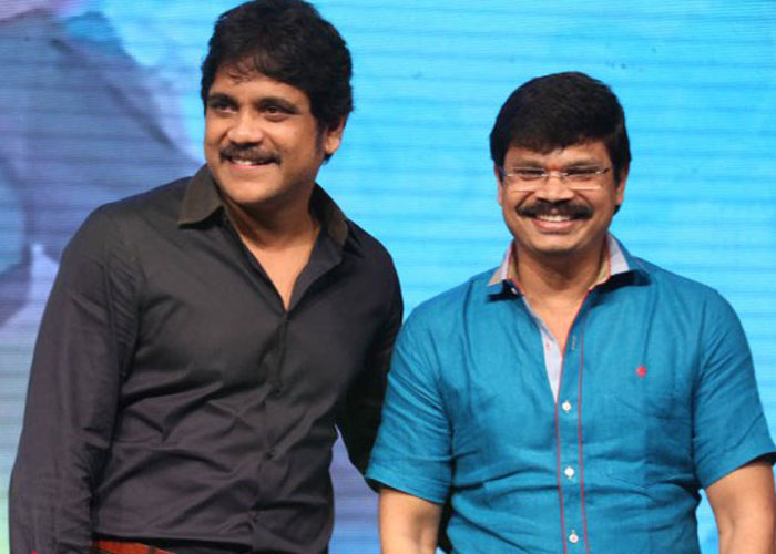 Nagarjuna Wants Boyapari-Chaitu's Combo!