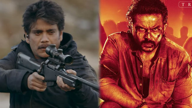 Nagarjuna Wild Dog Vs Karthi Sulthan