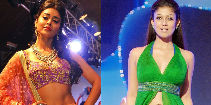 Nayantara and Shriya in Balakrishna Film?