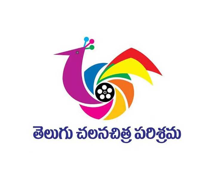 Nizam Distribution Circle 