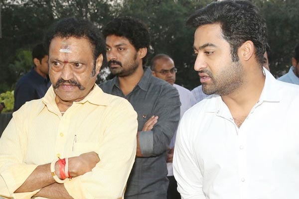 NTR About Harikrishna