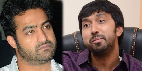 NTR and Bobby's Combo Film with a Different Subject!
