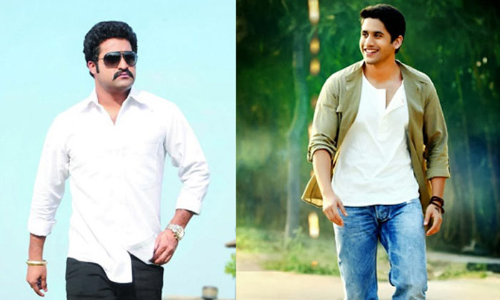 NTR and Naga Chaitanya