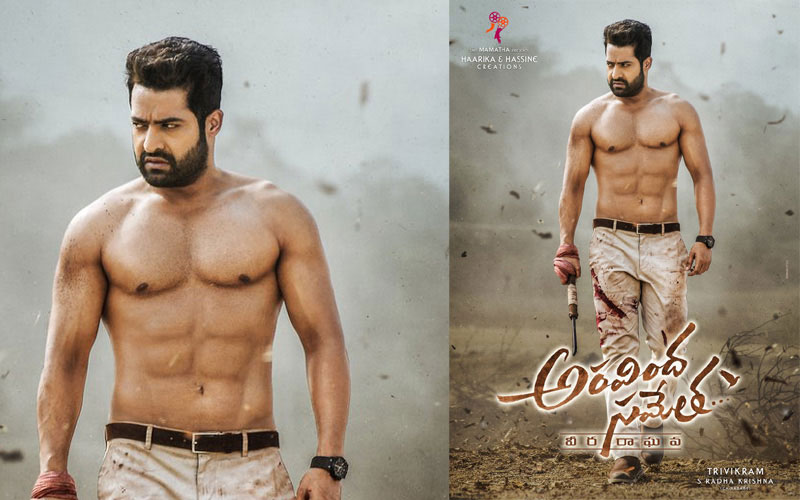 NTR and Nagababu's Interesting Roles in Aravinda Sametha