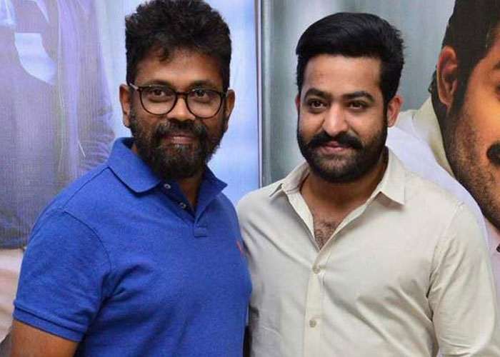 NTR: Sukumar's Approach to Me Is a Trash | cinejosh.com