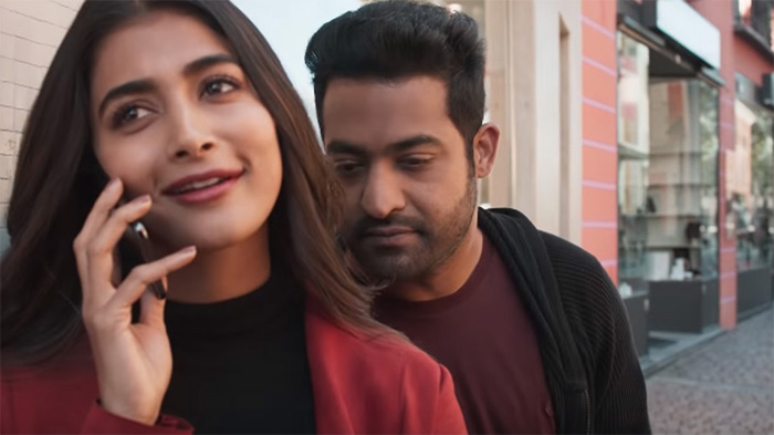 NTR is Pooja Hegde's bodyguard