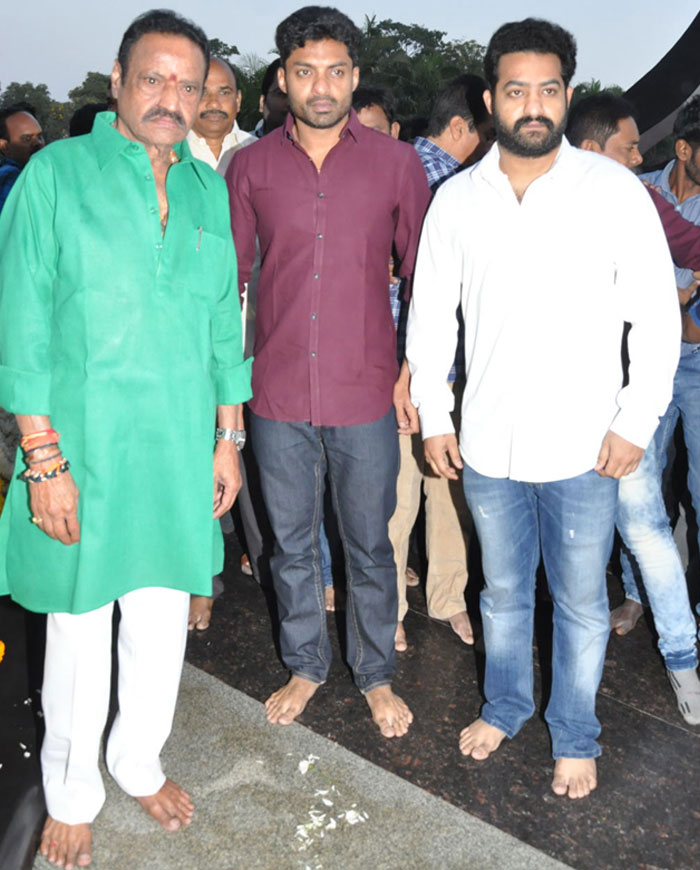 NTR Not Shed Weight