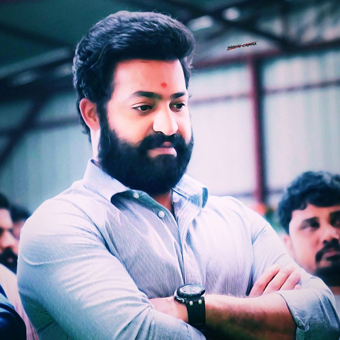 NTR Not to Celebrate His Birthday