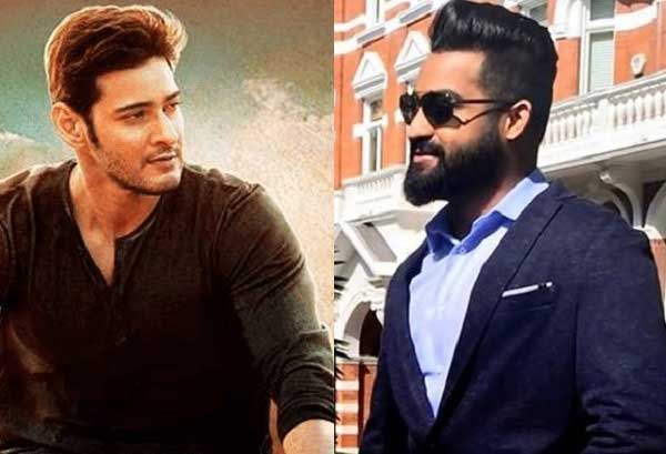 NTR Showers Praises on 'Srimanthudu'