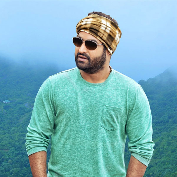 NTR Targeted by Critics?