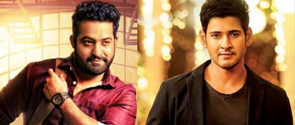 NTR to Cross Mahesh?