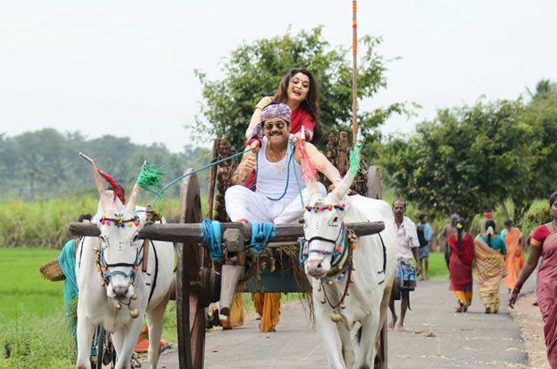 'Soggade Chinni Nayana's Record Collections in East Godavari