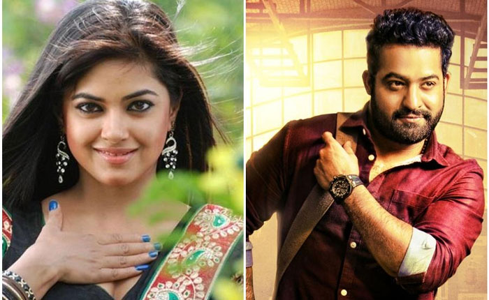 OMG! NTR Team Managing Twitter Team against Meera?