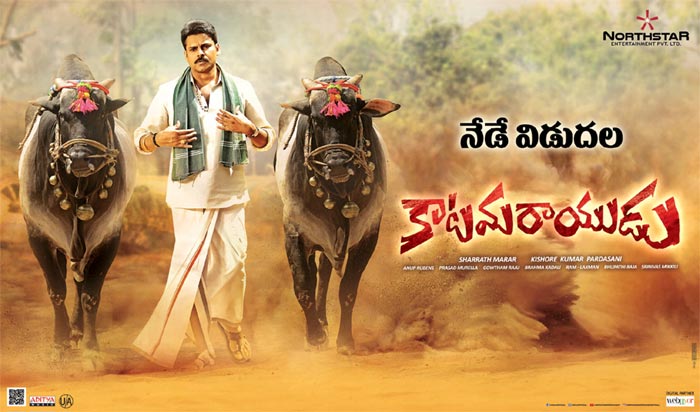 Pawan Kalyan Is Katama Rayudu