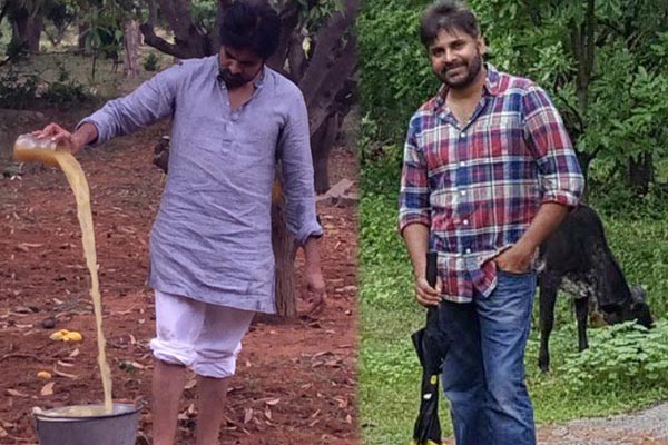 Pawan Kalyan Posts His Old Farm House Pics