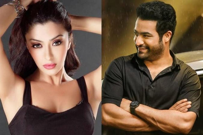 Payal Ghosh NTR Nepotism