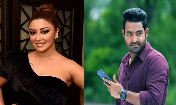 Payal Ghosh Retort to Meera Chopra on NTR | cinejosh.com