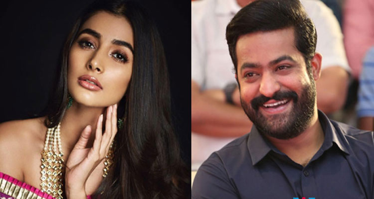 Pooja Hegde Opposite NTR