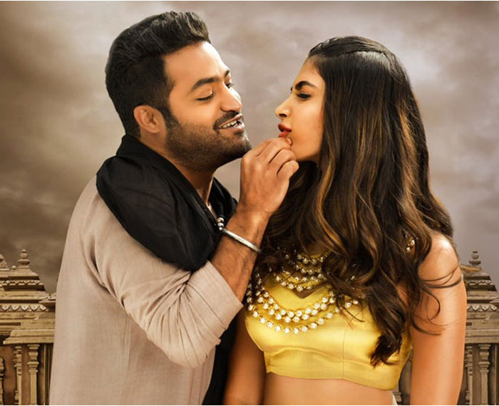 Pooja Hegde to Romance NTR