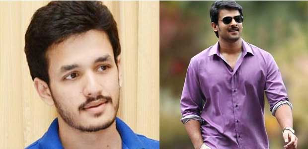 Prabhas and Akhil Should Take Best Decisions on Marriages