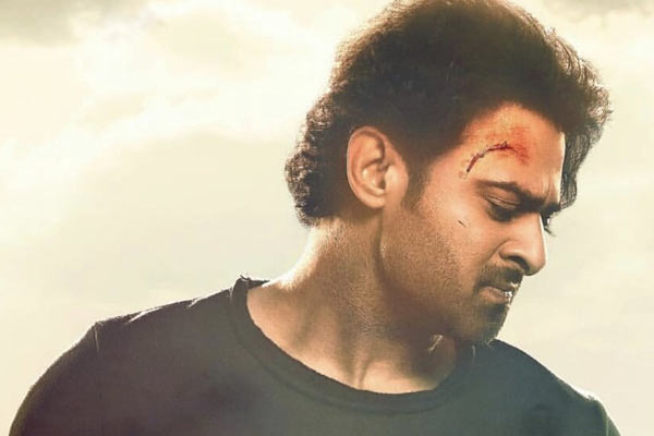 9 Facts About Prabhas' Next Film 'Saaho' That'll Make The Wait For This  Action-Thriller Harder — Steemit