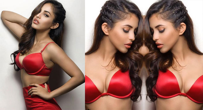 Priya Banerjee Hot Pic