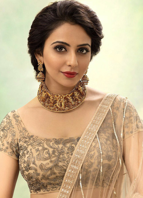 Rakul Preet Singh Huge Demands For Indian 2