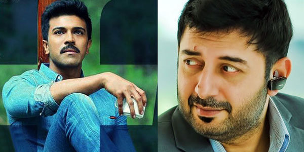 Ram Charan and Arvind Swamy in Maniratnam Film?