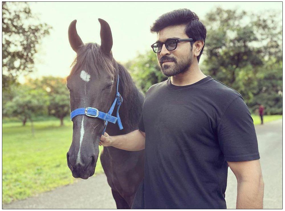 Ram Charan Introduces His New Love | cinejosh.com